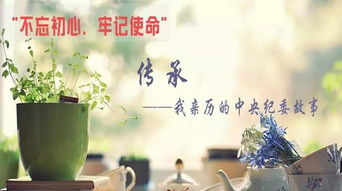 平原紀(jì)檢 執(zhí)紀(jì)問責(zé)非文藝創(chuàng)作，求真務(wù)實(shí)方顯擔(dān)當(dāng)